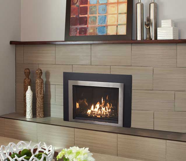 The Big Picture: Pacific Energy Tofino i20 Gas Insert