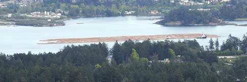 Log Boom in Transit