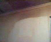 Nowak Photo 2