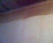 Nowak Photo 3