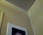Nowak Photo 3