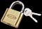 Small Padlock Icon